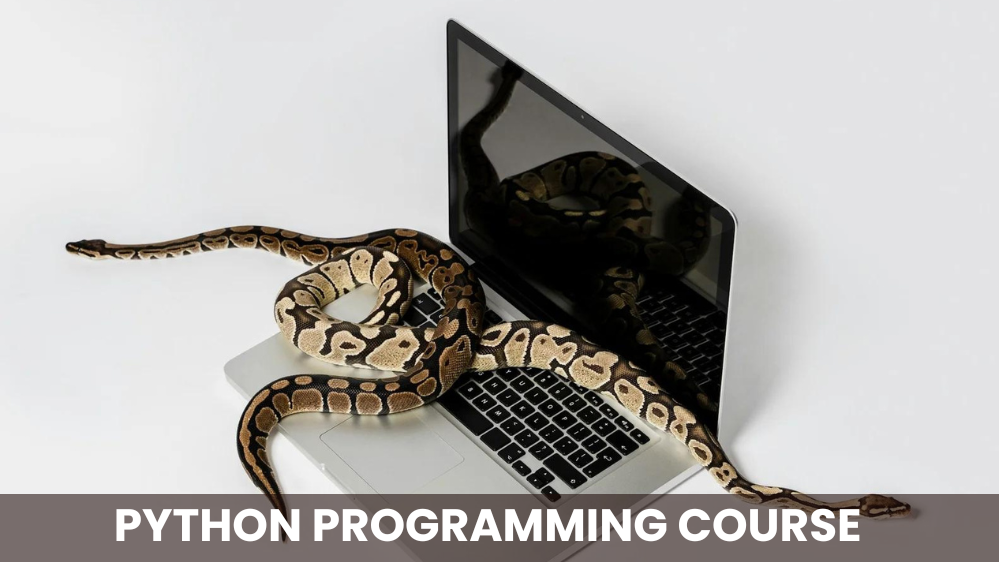 python programming course in Chandigarh